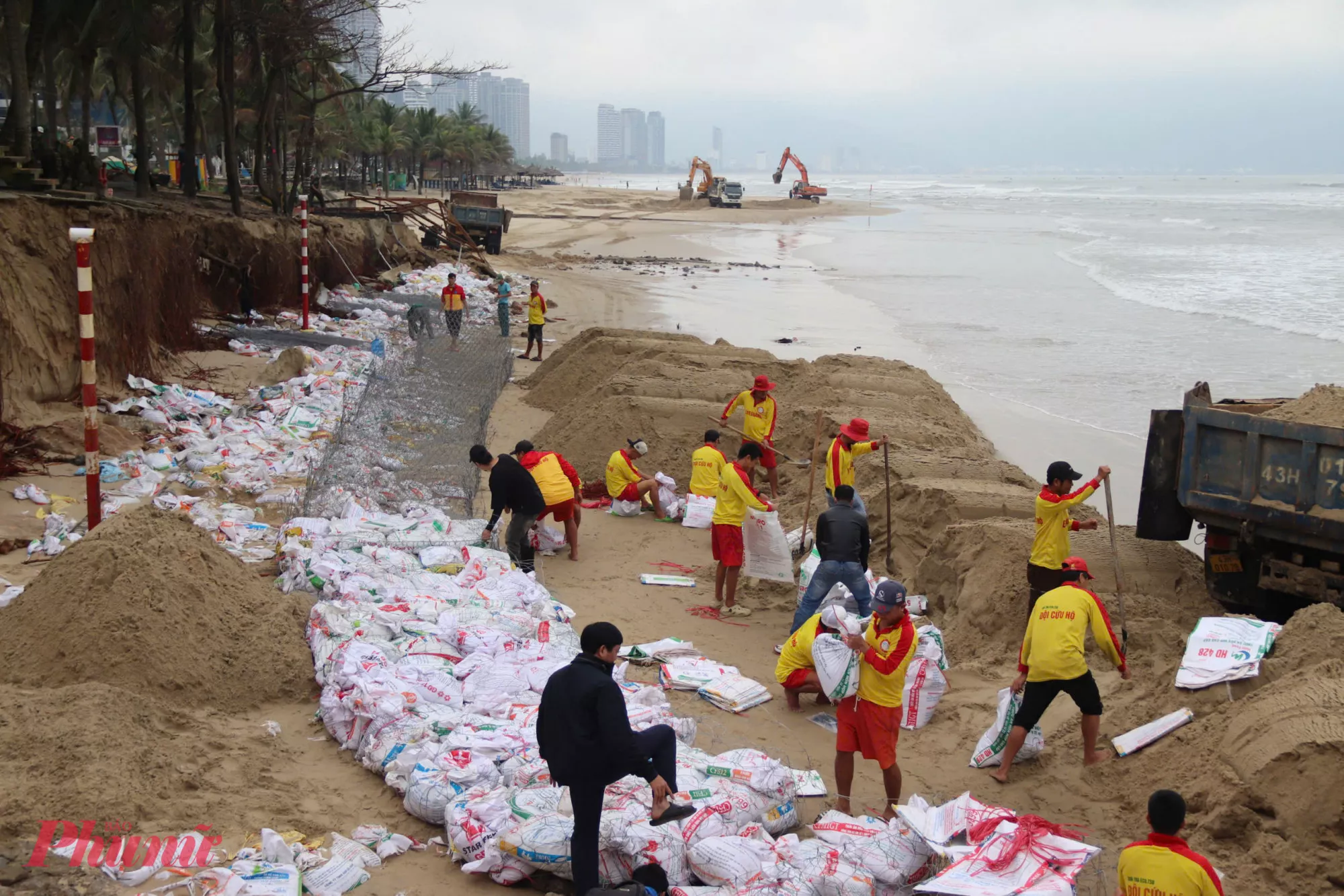 Giải pháp từ Trường Đại học Thủy lợi góp phần tôn tạo, ổn định bãi biển Đà Nẵng