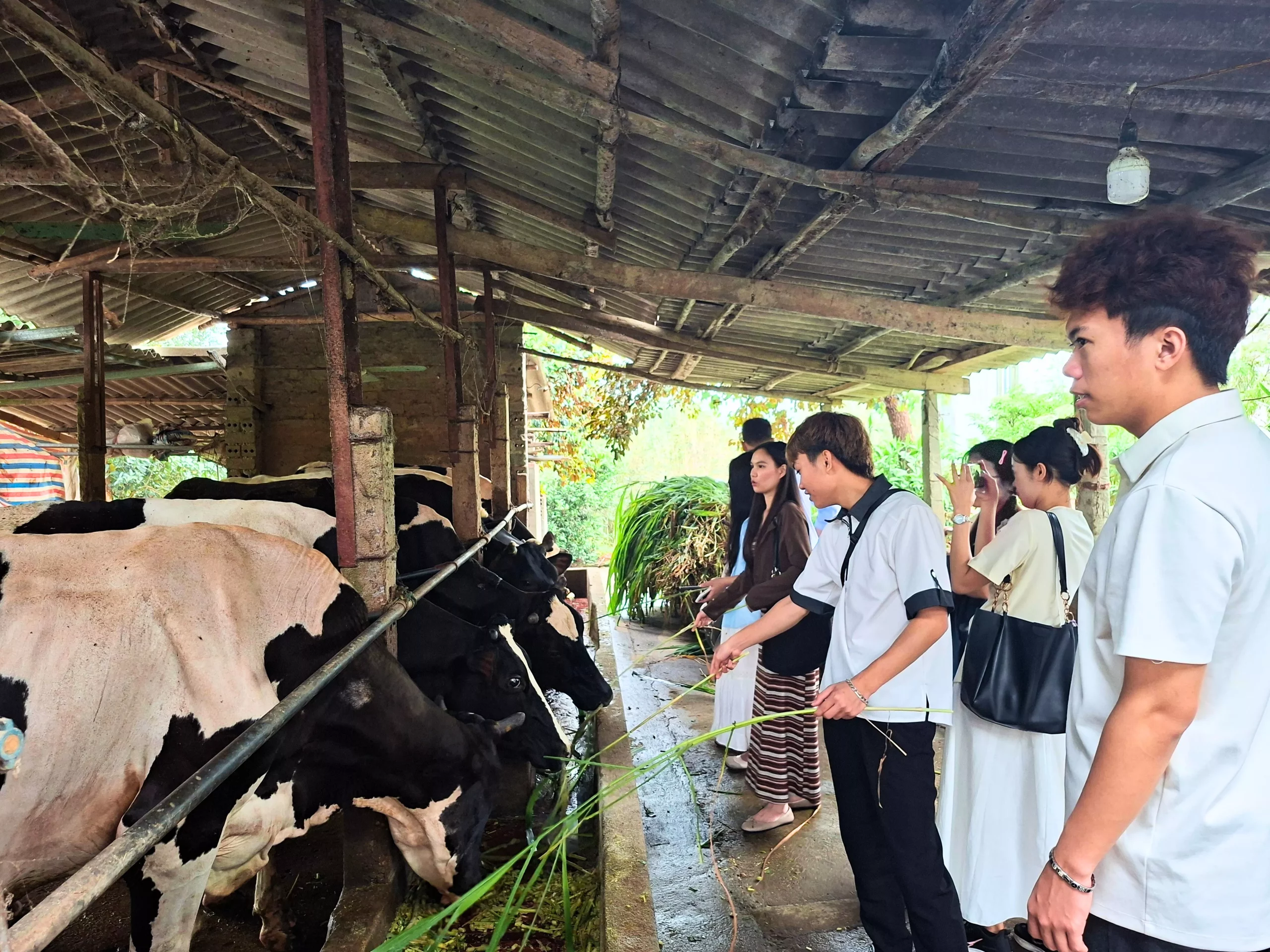 Sinh viên Trường Đại học Thủy lợi trải nghiệm thực tế nhân dịp Tết Bunpimay của Lào
